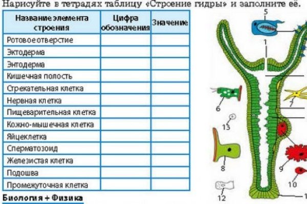 Кракен сайт в тор браузере ссылка