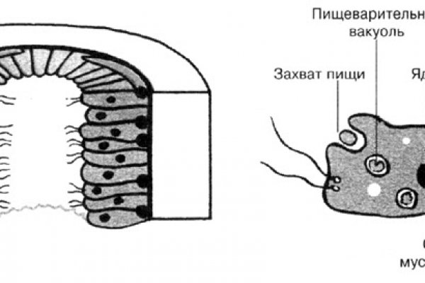 Kraken ссылка актуальная москва