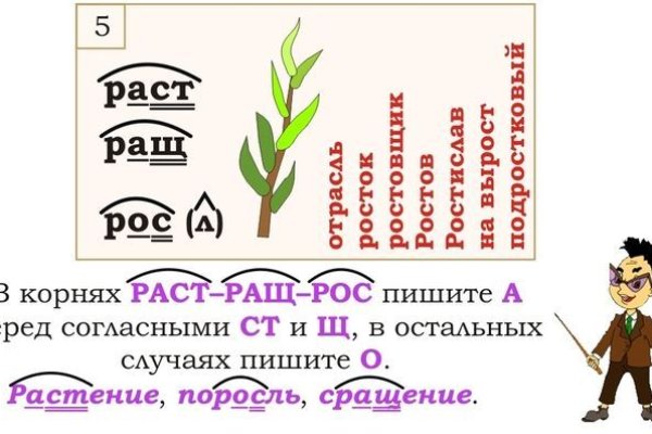 Кракен через браузер