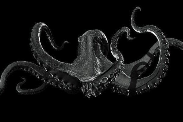 Kraken ссылка на сайт актуальная